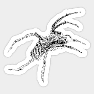 Spider drawing Sticker